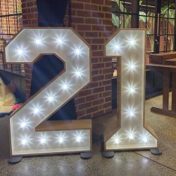 Illuminated Letters and Flower Wall Hire