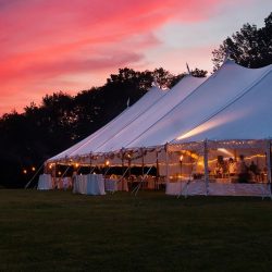 White Wedding Marquees
